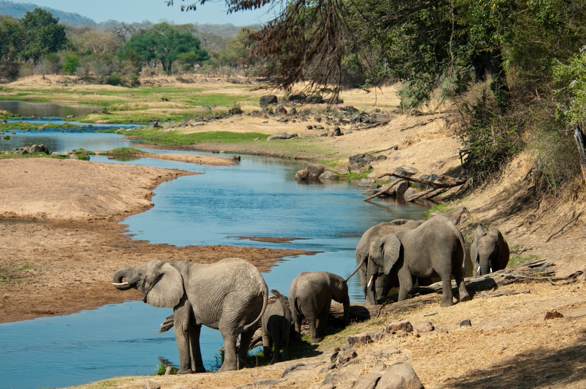 Tanzanie - Parcs du Sud